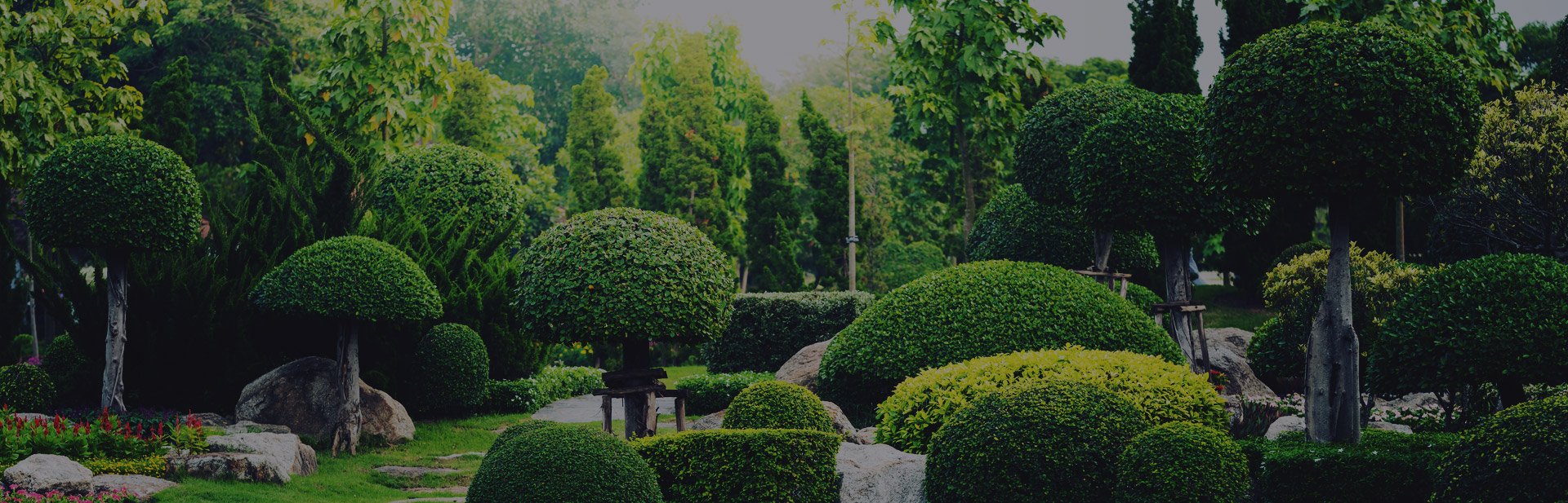 Angelegter Garten mit Rosenbeet und gepflegtem Rasen im Allgäu