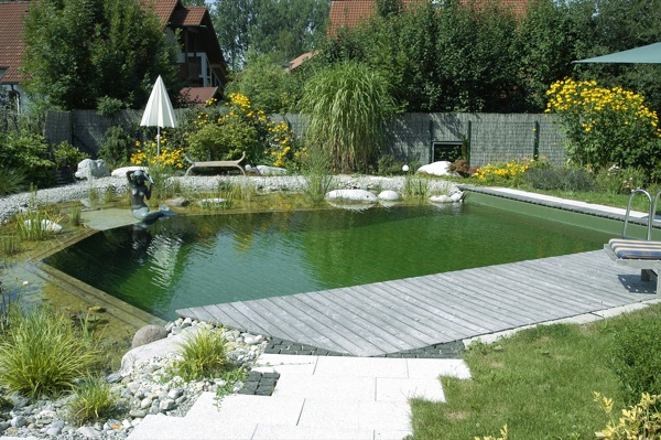 Hausgarten mit Rasenfläche