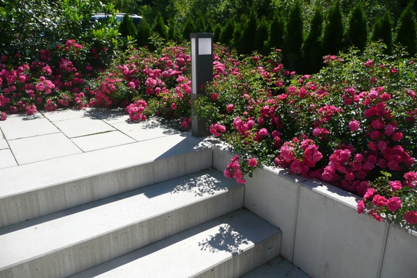 Terrassenbelag aus Naturstein