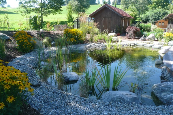 Gartenteich mit Uferbepflanzung